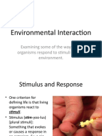 Plant & Animal Response To Stimuli