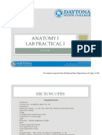 Anatomy I Lab Practical I: Review