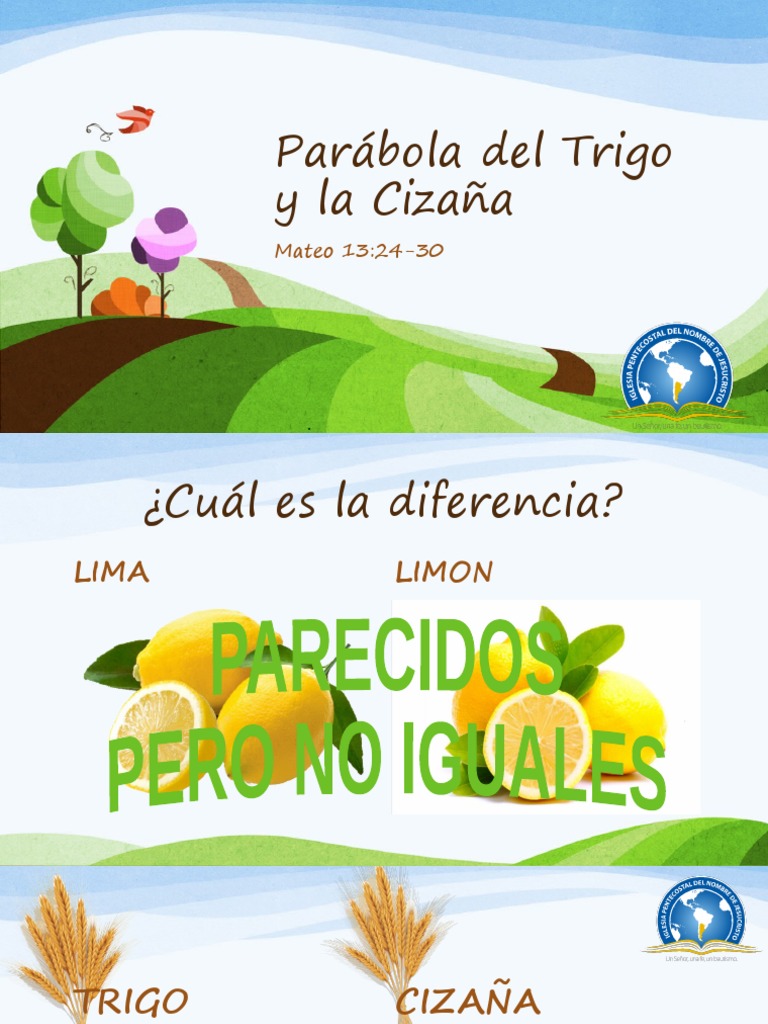 Parábola Del Trigo y La Cizaña | PDF