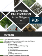 Seaweed Cultivation: in The Philippines