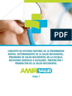 Tema Ejemplo Odontología