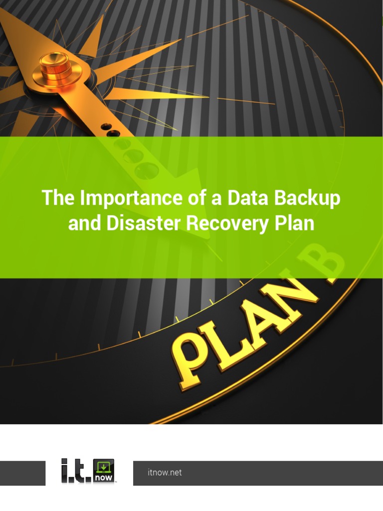 It NOW The Importance of A Data Backup Plan WP PDF Disaster
