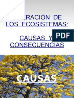 Alteración de Los Ecosistemas