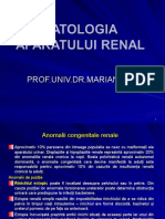 Curs 7 - Patologia Urinara