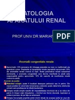 Curs 7 - patologia urinara.ppt
