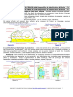 Dispositifs de Lubrification A L Huile