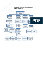 Mapa Conceptual de Diferentes Fracturas MMss