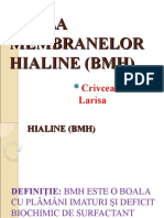 Boala Membranelor Hialine (BMH)