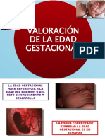 Edad Gestacional.