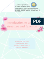 Introduction To Animal Structure and Function: Arizalita, Jovelyn Caliñahan, Jezel Penales, Kael Marie Suarez, Ana Riza