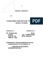 Consumer Perception Towards Music Sysem: Project Report