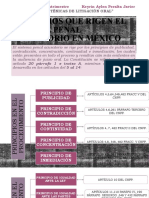 TEMA 1 INTRODUCCIÓN AL PROCESO PENAL ACUSATORIO_KEYRIN PERALTA.pptx