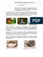 REINO ANIMAL.pdf