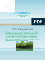Mangroves: by - Samyra Budhwani Grade - 7K