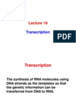 Lecture 18-Cell Biology.pdf