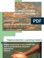 Tilapia Production in Biofloc Systems PDF