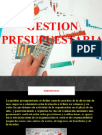 Gestion Presupuestaria