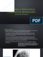 Anatomía y Patologías comunes de mediastino (1).pptx