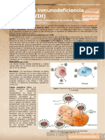 Human Immunodeficiency Virus (HIV) (Virus de La Inmunodeficiencia Humana (VIH) )