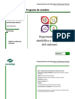 Representación Sinbólica y Angular Del Entrono - P