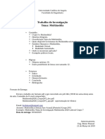 Trabalho de Investigação Multimédia 2020