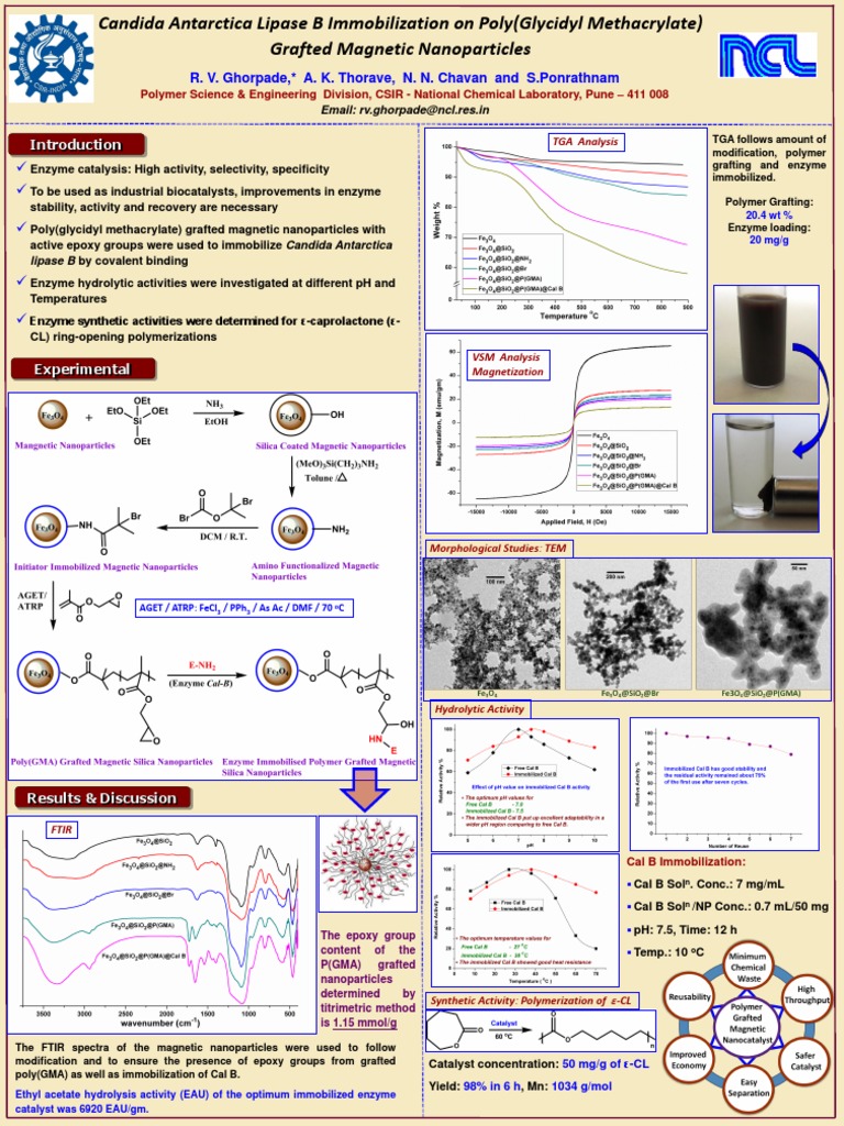 Candida Antarctica Lipase B Immobilization Polymer Grafted Nanoparticles PDF Catalysis Enzyme