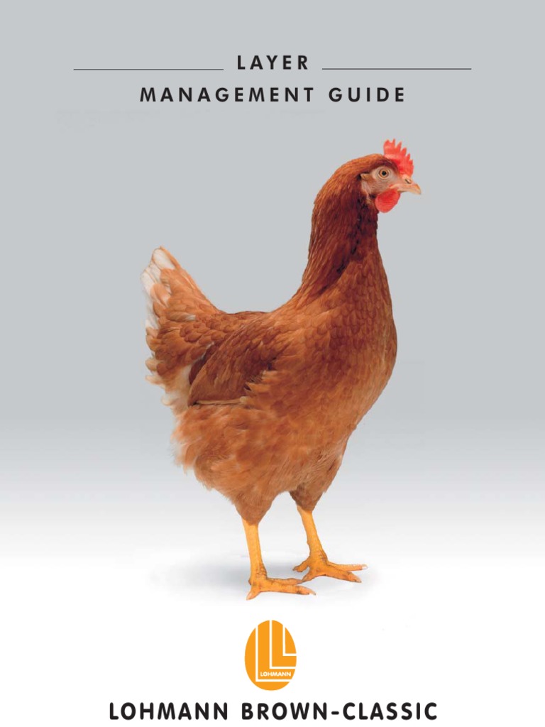 Lohmann Brown Classic Commercials | PDF | Nutrients | Chicken