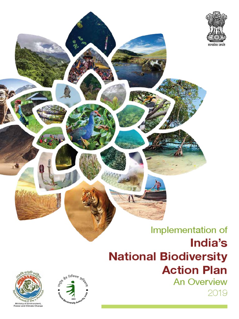 India National Biodiversity Action Plan 2019 | PDF | Biodiversity ...