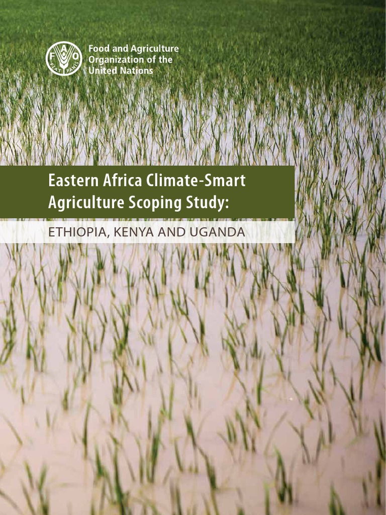 FAO SMart Agriculture Book | PDF | Food Security | Agriculture