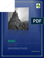 MMS.pdf