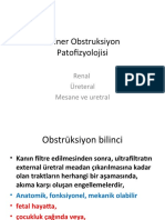 Uriner Obstruksiyon Patofizyolojisi: Renal Üreteral Mesane Ve Uretral