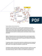 Ciclo de Krebs