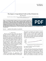 The Impact of Agricultural Credit On Rice Productivity: Eko Wicaksono