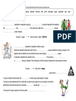 anaerobic respiration year 8.docx