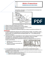 Série D'exercices N°1 - SVT Procréation - Bac Sciences Exp (2009-2010) MR Akremi Abdelghani PDF