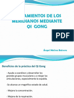 ESTIRAMIENTOS DE MERIDIANOS.pdf