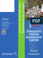 BR28 - V2 - Management Guidelines For Breeding Turkeys - RUS PDF