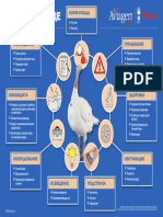 HE05 Managing Bird Welfare - RUS PDF