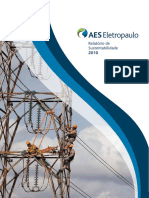 2010 - AES Eletropaulo PDF