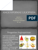 Angiospermae Liliopsida