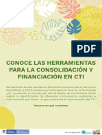 Herramientas para La Consolidación y Financiación en CTI