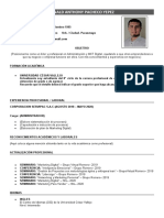 Formato Cv-Bolsa de Trabajo