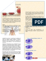 Diptico Origen Del Coronavirus