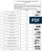 Entrega 4 - Valoracion Nutricional - 2019-09-03