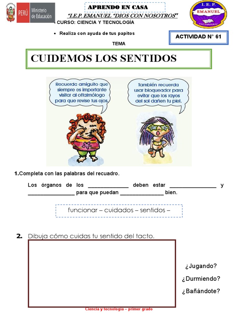 Cuidados de los Sentidos para Primer Grado | PDF