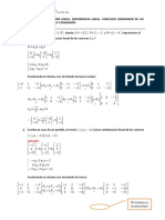 SOLUCIONARIO DE HOJA DE TRABAJO-combinación Lineal 10