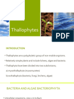 Thallophytes Proper Notes