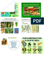 Tipos de Plantas