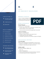 IT Project Manager Profile
