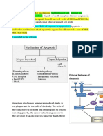 External Pathway of Apoptosis